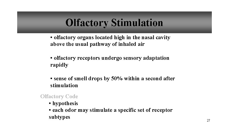 Olfactory Stimulation • olfactory organs located high in the nasal cavity above the usual