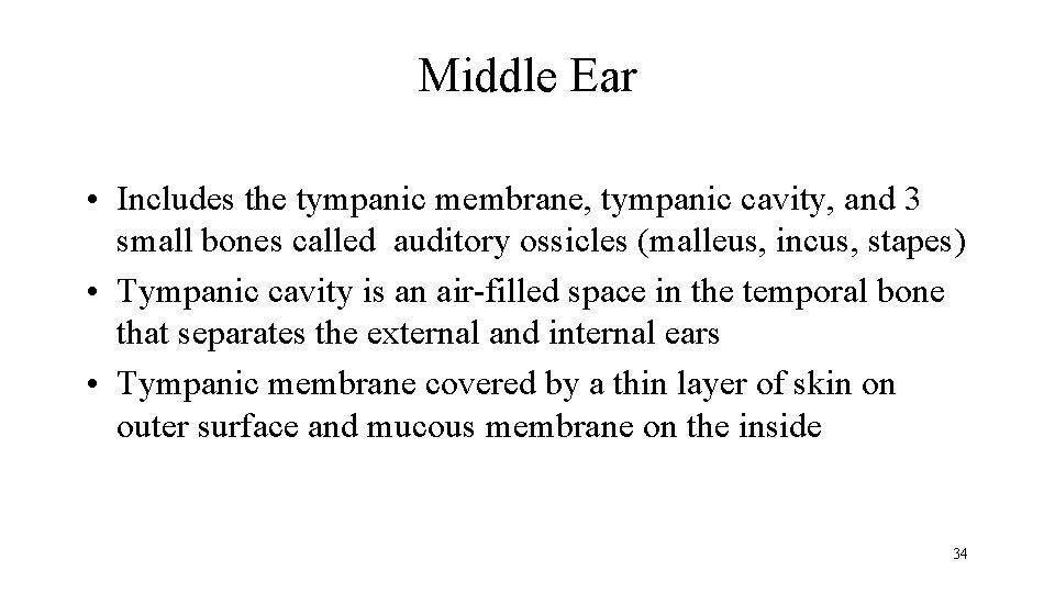 Middle Ear • Includes the tympanic membrane, tympanic cavity, and 3 small bones called