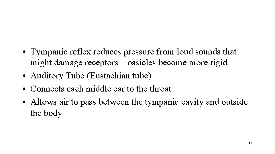  • Tympanic reflex reduces pressure from loud sounds that might damage receptors –