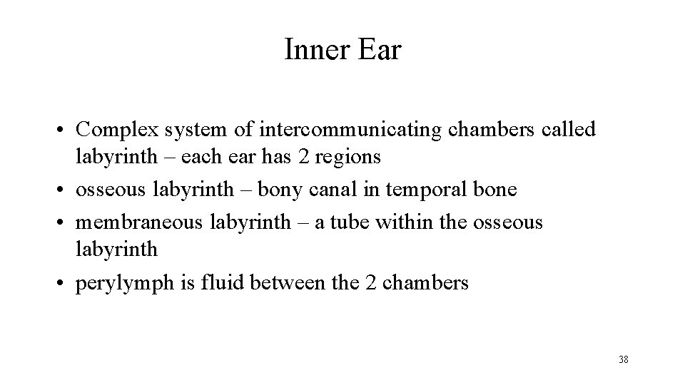 Inner Ear • Complex system of intercommunicating chambers called labyrinth – each ear has