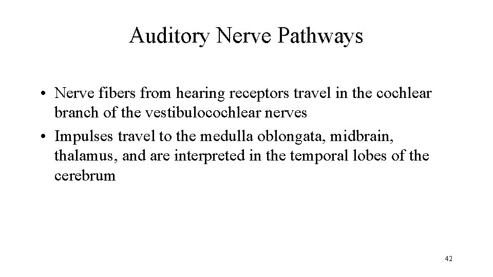 Auditory Nerve Pathways • Nerve fibers from hearing receptors travel in the cochlear branch