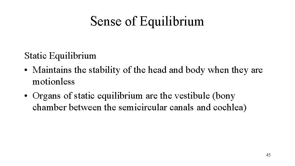 Sense of Equilibrium Static Equilibrium • Maintains the stability of the head and body