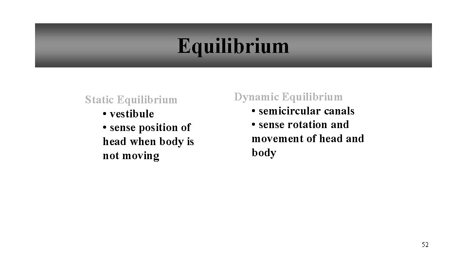 Equilibrium Static Equilibrium • vestibule • sense position of head when body is not