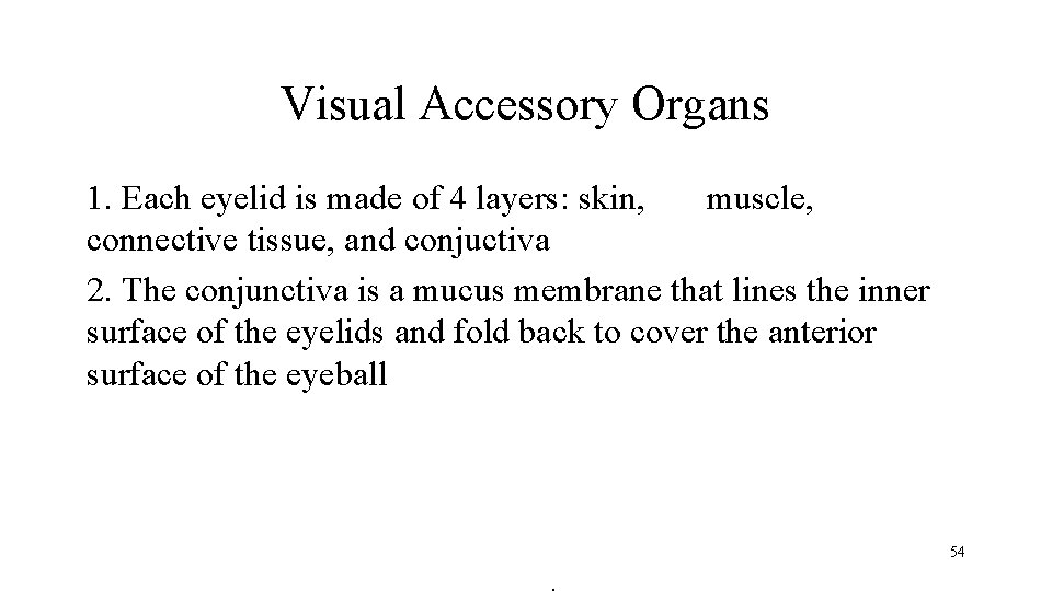 Visual Accessory Organs 1. Each eyelid is made of 4 layers: skin, muscle, connective