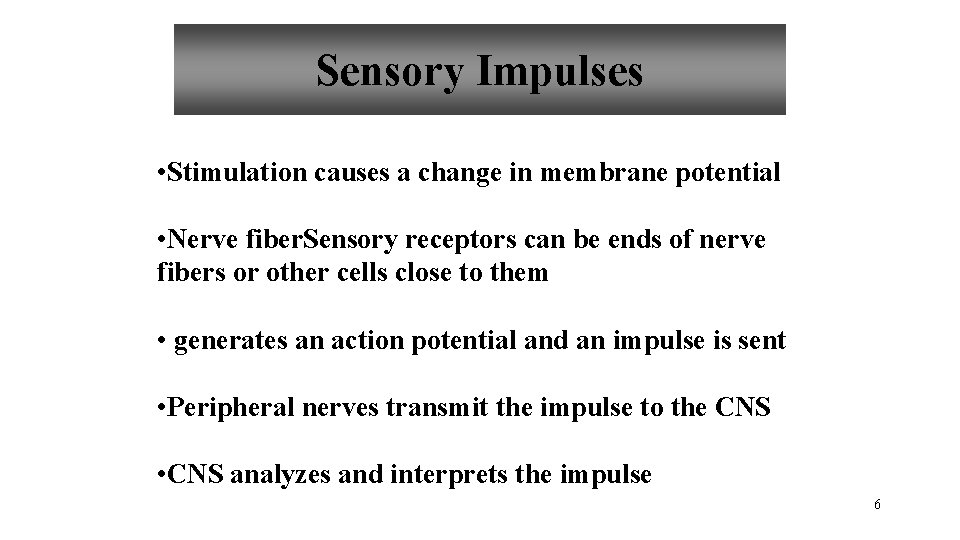 Sensory Impulses • Stimulation causes a change in membrane potential • Nerve fiber. Sensory