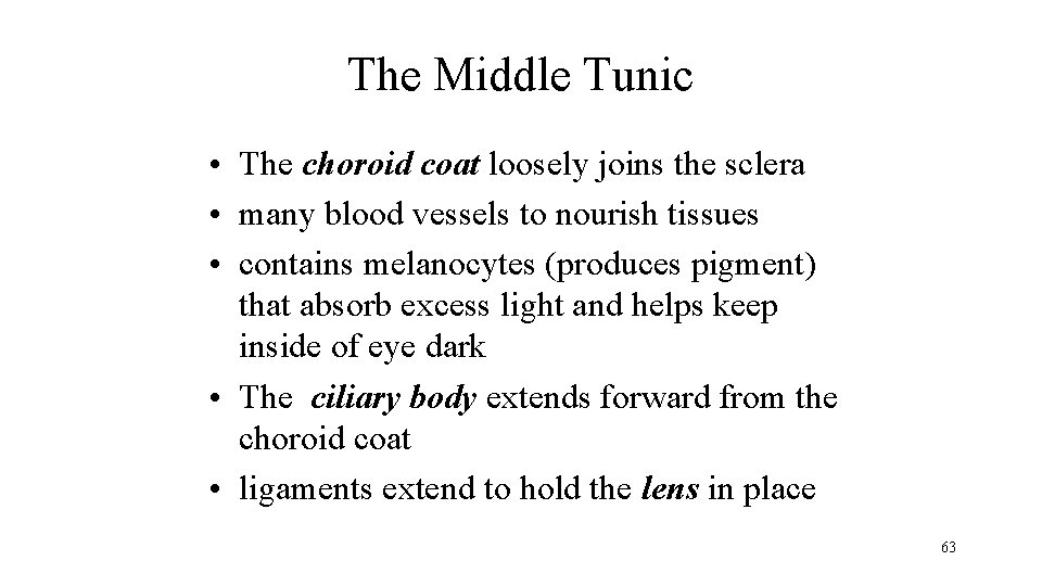 The Middle Tunic • The choroid coat loosely joins the sclera • many blood