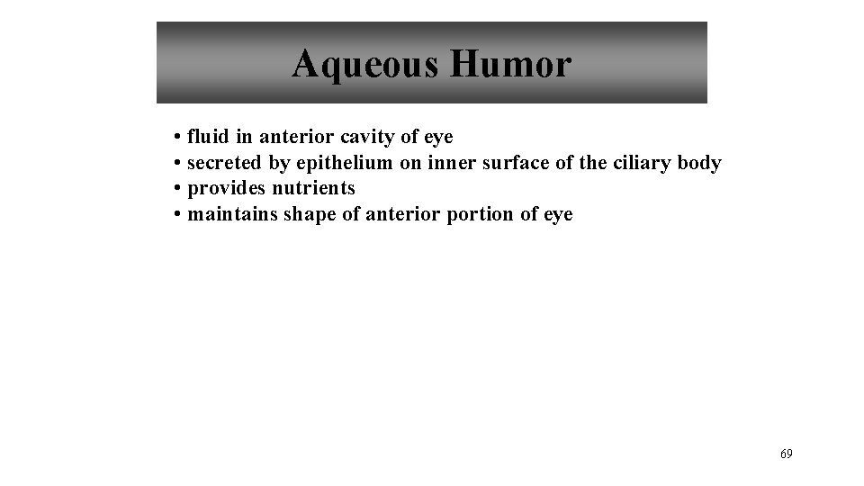 Aqueous Humor • fluid in anterior cavity of eye • secreted by epithelium on