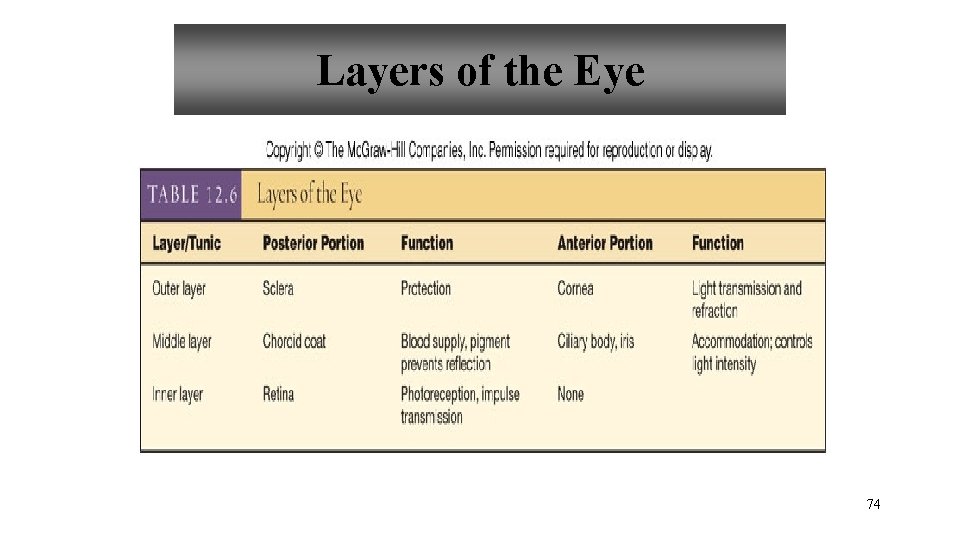 Layers of the Eye 74 