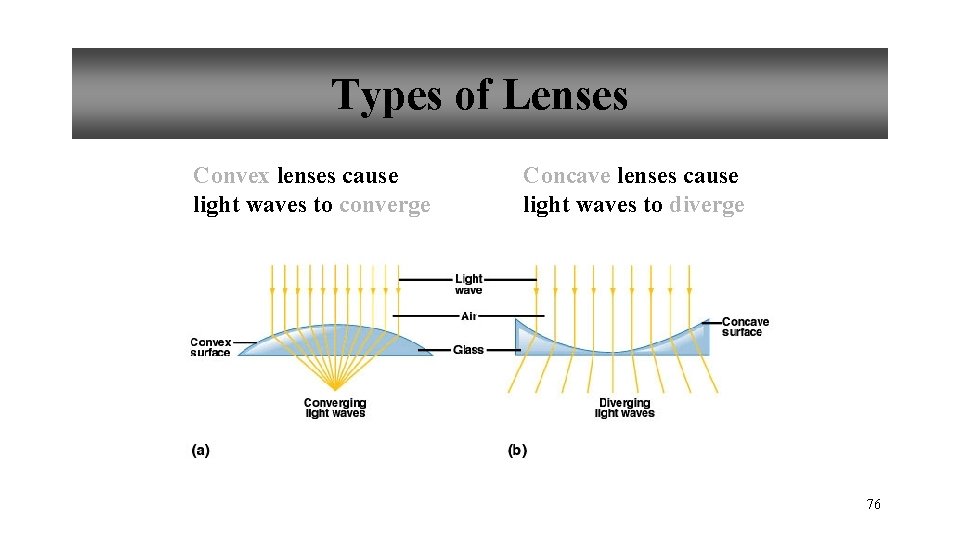 Types of Lenses Convex lenses cause light waves to converge Concave lenses cause light