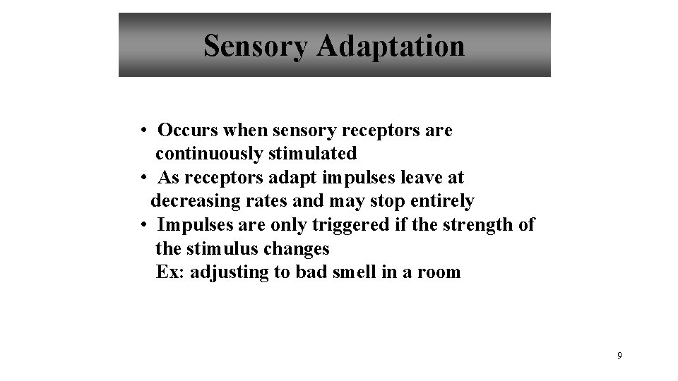 Sensory Adaptation • Occurs when sensory receptors are continuously stimulated • As receptors adapt