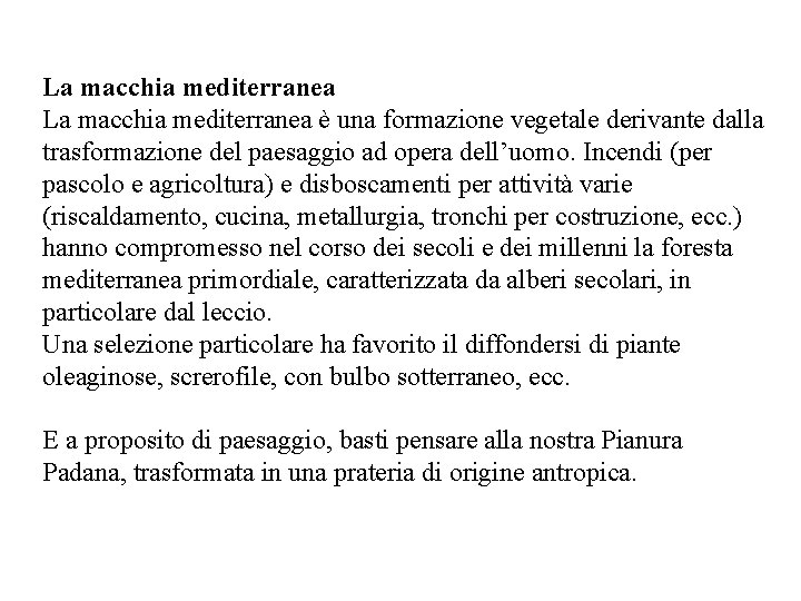 La macchia mediterranea è una formazione vegetale derivante dalla trasformazione del paesaggio ad opera