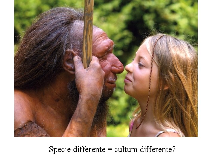 Specie differente = cultura differente? 