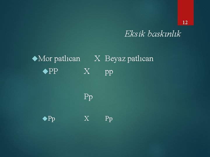 12 Eksik baskınlık Mor patlıcan PP X Beyaz patlıcan X pp Pp Pp X