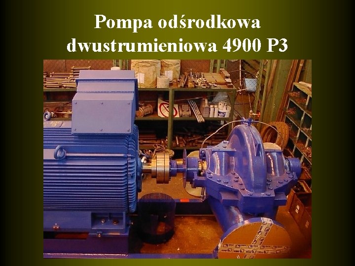 Pompa odśrodkowa dwustrumieniowa 4900 P 3 