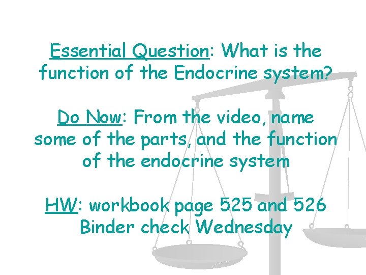 Essential Question: What is the function of the Endocrine system? Do Now: From the