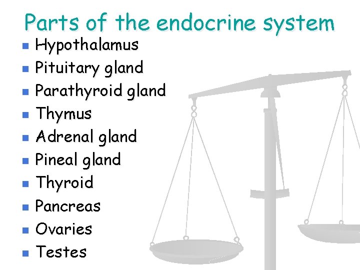 Parts of the endocrine system n n n n n Hypothalamus Pituitary gland Parathyroid