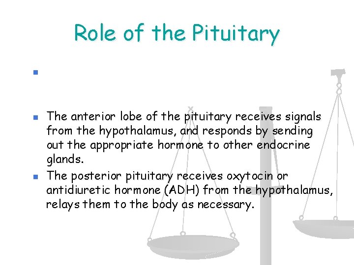 Role of the Pituitary n n n The pituitary is the “master gland” that
