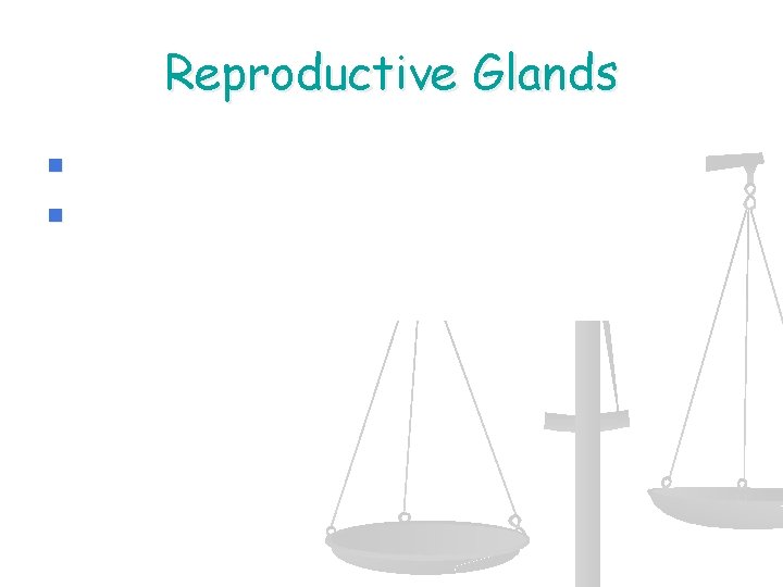 Reproductive Glands n n Ovaries and testies Produce gametes and secrete sex hormones 