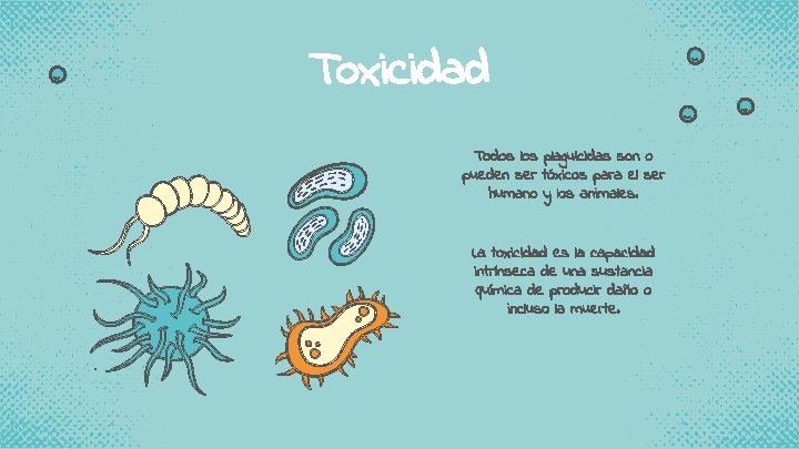 Toxicidad Todos los plaguicidas son o pueden ser tóxicos para el ser humano y