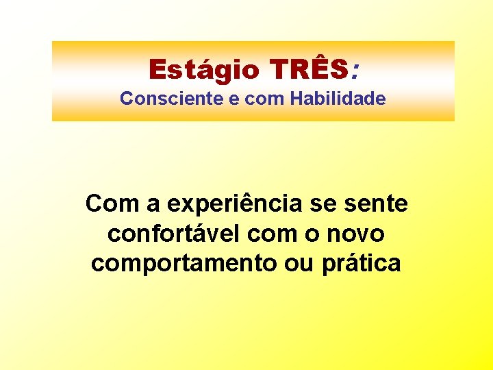 Estágio TRÊS: Consciente e com Habilidade Com a experiência se sente confortável com o