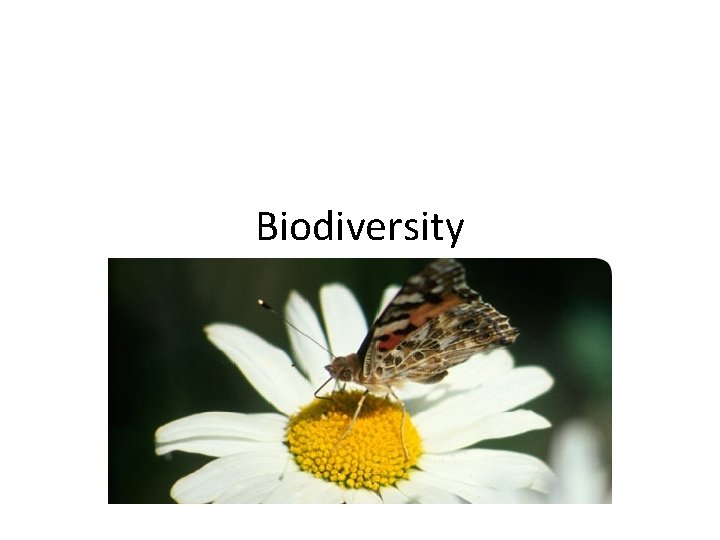 Biodiversity 