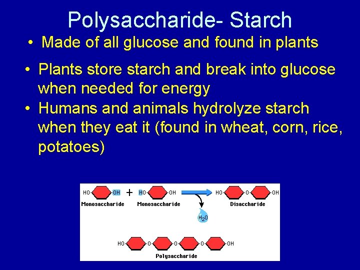Polysaccharide- Starch • Made of all glucose and found in plants • Plants store