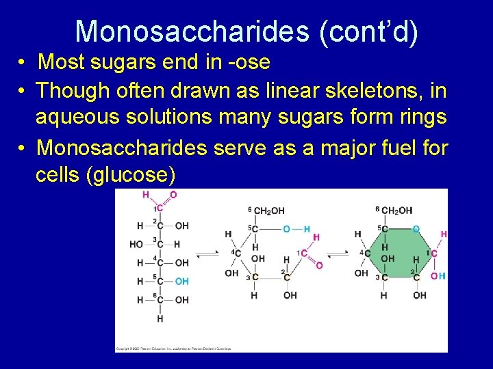 Monosaccharides (cont’d) • Most sugars end in -ose • Though often drawn as linear