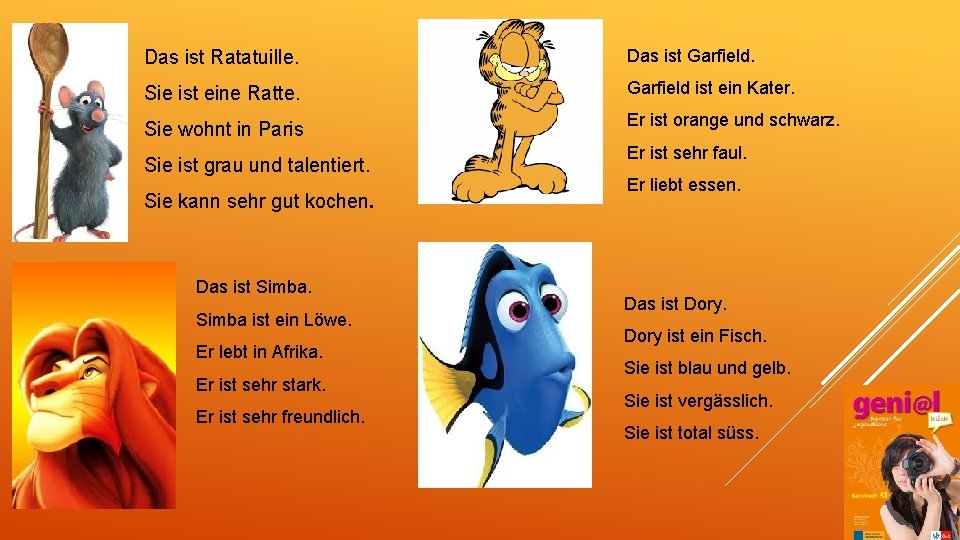 Das ist Ratatuille. Das ist Garfield. Sie ist eine Ratte. Garfield ist ein Kater.