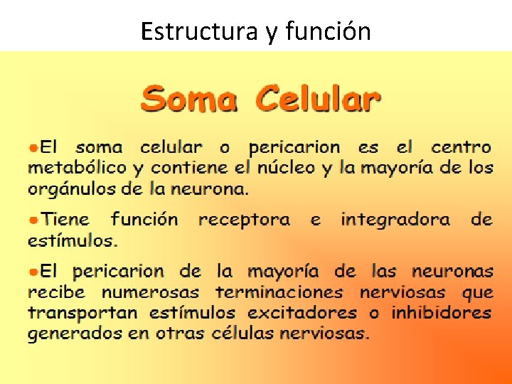 Estructura y función 
