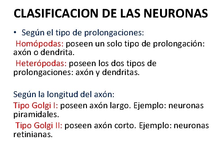 CLASIFICACION DE LAS NEURONAS • Según el tipo de prolongaciones: Homópodas: poseen un solo