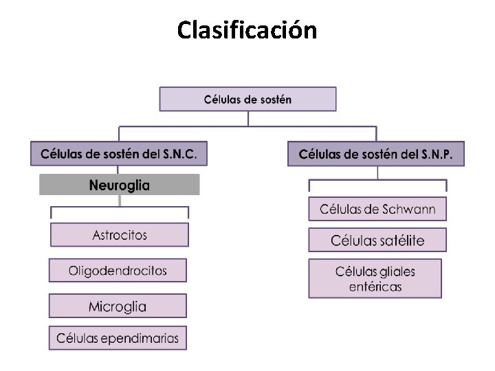 Clasificación 