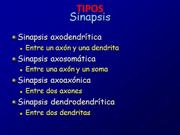 TIPOS 