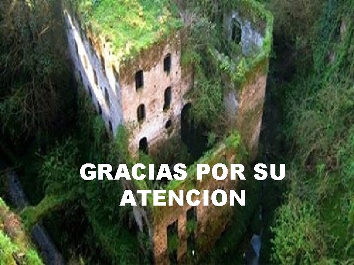 GRACIAS POR SU ATENCION 