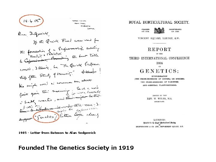 1905 - Letter from Bateson to Alan Sedgewick Founded The Genetics Society in 1919 1905 - Letter from Bateson to Alan Sedgewick Founded The Genetics Society in 1919