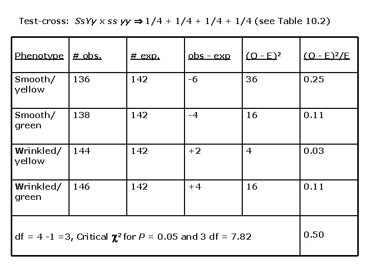 Test-cross: Ss. Yy x ss yy 1/4 + 1/4 (see Table 10. 2) Phenotype Test-cross: Ss. Yy x ss yy 1/4 + 1/4 (see Table 10. 2) Phenotype