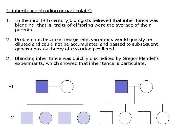 Is inheritance blending or particulate? 1. In the mid 19 th century, biologists believed