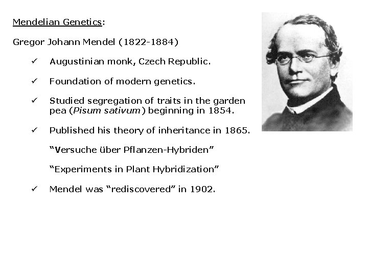 Mendelian Genetics: Gregor Johann Mendel (1822 -1884) ü Augustinian monk, Czech Republic. ü Foundation Mendelian Genetics: Gregor Johann Mendel (1822 -1884) ü Augustinian monk, Czech Republic. ü Foundation