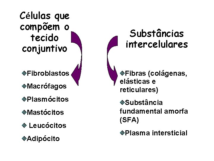 Células que compõem o tecido conjuntivo Fibroblastos Macrófagos Plasmócitos Mastócitos Leucócitos Adipócito Substâncias intercelulares