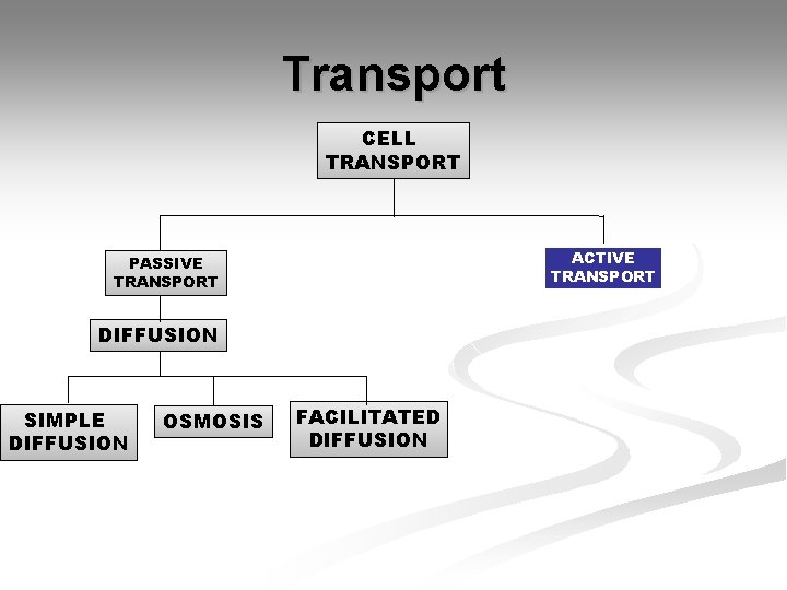 Transport CELL TRANSPORT ACTIVE TRANSPORT PASSIVE TRANSPORT DIFFUSION SIMPLE DIFFUSION OSMOSIS FACILITATED DIFFUSION Transport CELL TRANSPORT ACTIVE TRANSPORT PASSIVE TRANSPORT DIFFUSION SIMPLE DIFFUSION OSMOSIS FACILITATED DIFFUSION
