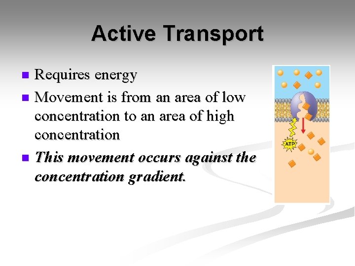 Active Transport Requires energy n Movement is from an area of low concentration to Active Transport Requires energy n Movement is from an area of low concentration to