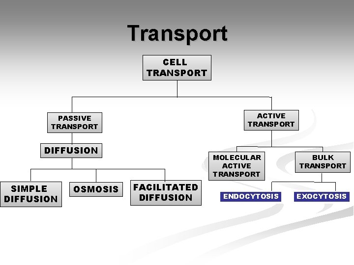 Transport CELL TRANSPORT ACTIVE TRANSPORT PASSIVE TRANSPORT DIFFUSION SIMPLE DIFFUSION OSMOSIS MOLECULAR ACTIVE TRANSPORT Transport CELL TRANSPORT ACTIVE TRANSPORT PASSIVE TRANSPORT DIFFUSION SIMPLE DIFFUSION OSMOSIS MOLECULAR ACTIVE TRANSPORT