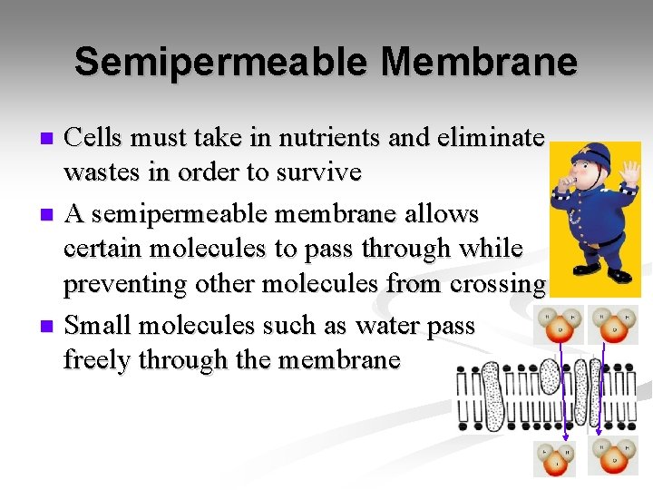 Semipermeable Membrane Cells must take in nutrients and eliminate wastes in order to survive Semipermeable Membrane Cells must take in nutrients and eliminate wastes in order to survive