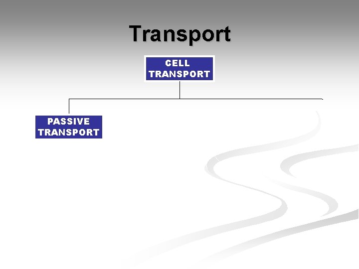 Transport CELL TRANSPORT PASSIVE TRANSPORT Transport CELL TRANSPORT PASSIVE TRANSPORT