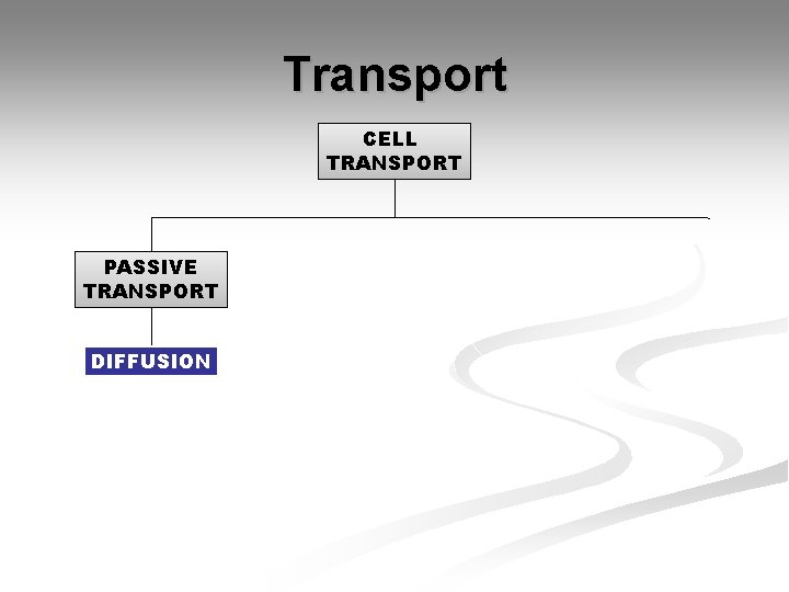 Transport CELL TRANSPORT PASSIVE TRANSPORT DIFFUSION Transport CELL TRANSPORT PASSIVE TRANSPORT DIFFUSION