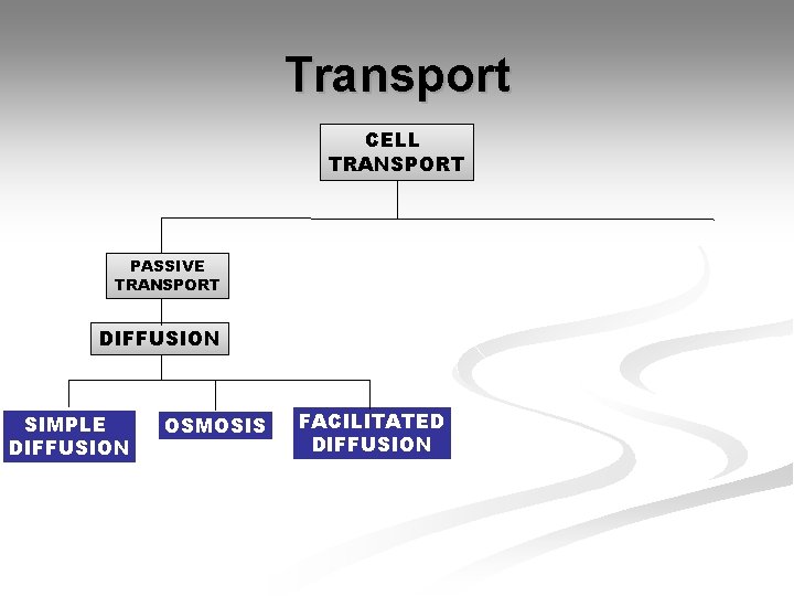 Transport CELL TRANSPORT PASSIVE TRANSPORT DIFFUSION SIMPLE DIFFUSION OSMOSIS FACILITATED DIFFUSION Transport CELL TRANSPORT PASSIVE TRANSPORT DIFFUSION SIMPLE DIFFUSION OSMOSIS FACILITATED DIFFUSION