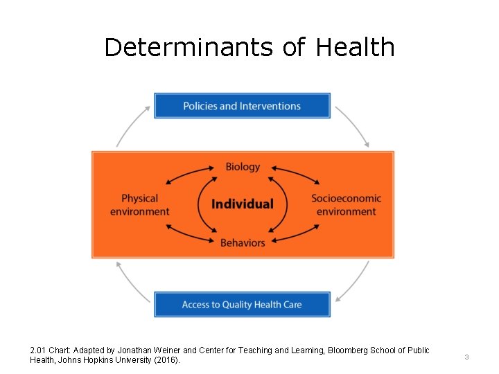 Determinants of Health 2. 01 Chart: Adapted by Jonathan Weiner and Center for Teaching