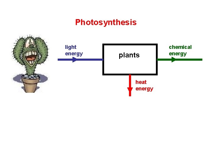 Photosynthesis light energy plants heat energy chemical energy 