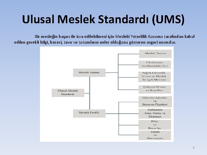 Ulusal Meslek Standardı (UMS) Bir mesleğin başarı ile icra edilebilmesi için Mesleki Yeterlilik Kurumu