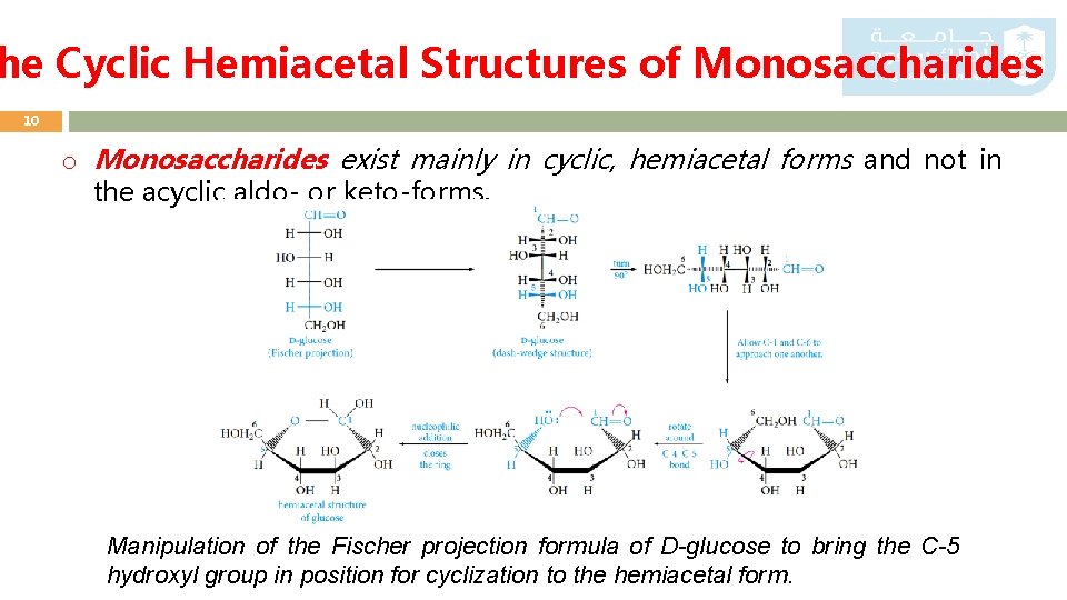 he Cyclic Hemiacetal Structures of Monosaccharides 10 o Monosaccharides exist mainly in cyclic, hemiacetal