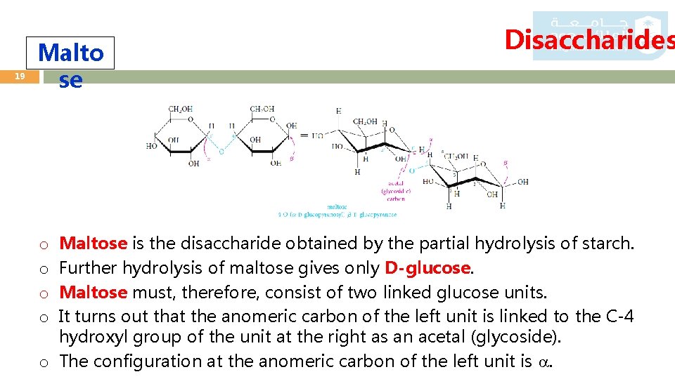 19 Malto se Disaccharides Maltose is the disaccharide obtained by the partial hydrolysis of